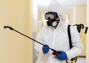 presence puces lille